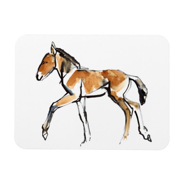 Imán Colt (Horizontal)