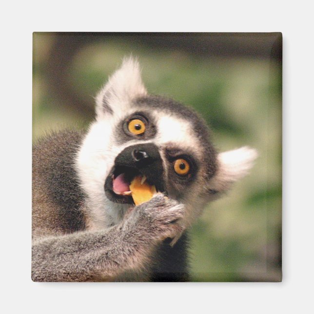 Imán comer (Frente)