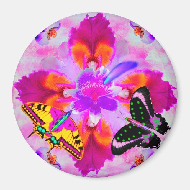 Imán Comet Chasers by pwrflwr (Frente)