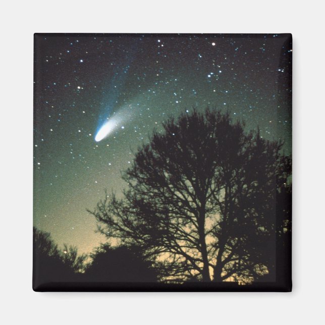Imán Comet Hale-Bopp y Tree Magnet (Frente)