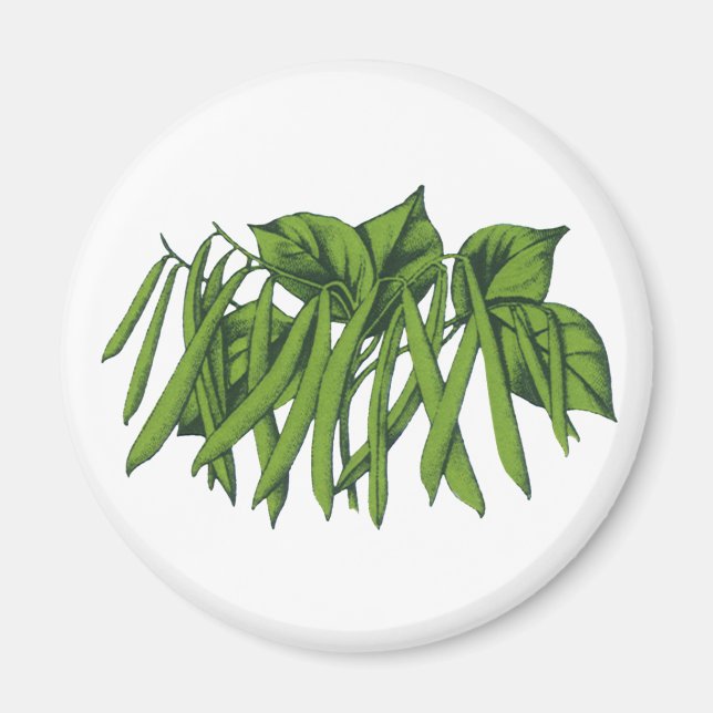 Imán Comida de época, frijoles verdes orgánicos (Frente)
