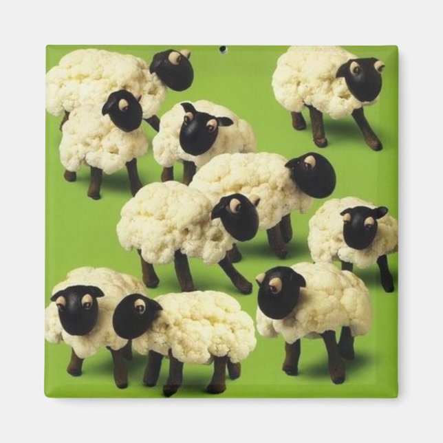 Imán Comida de oveja (Frente)