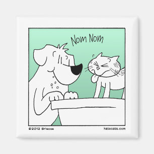 Imán Comida fría de la litera del gatito
