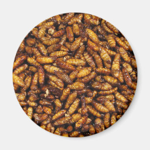 Imán Comida tailandesa de seda frita de la calle de los