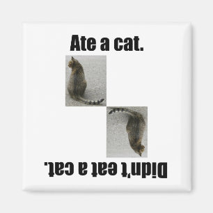 Imán Comió un gato