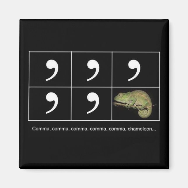 Imán Comma Chameleon Magnet (Frente)