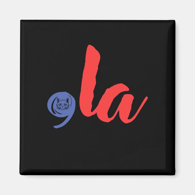 Imán Comma La 2024 Para Las Elecciones Presidenciales 2 (Frente)