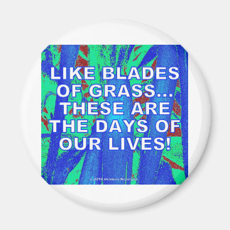 IMÁN COMO BLADES DE GRASA