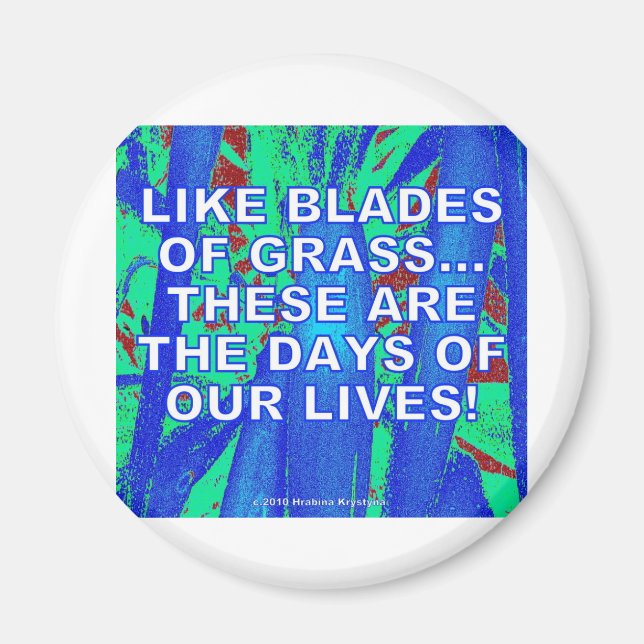 IMÁN COMO BLADES DE GRASA (Frente)