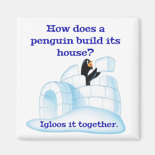 Imán ¿Cómo construye su casa un pingüino?