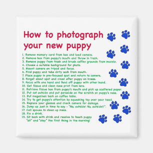 Imán Cómo fotografiar tu nuevo cachorro