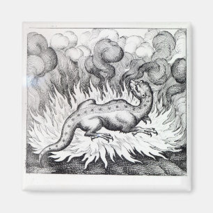 Imán Como las vidas del Salamander en fuego