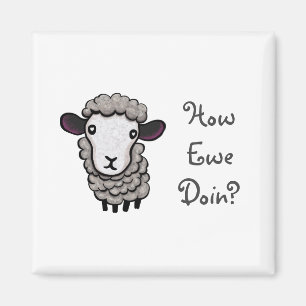 Imán ¿Cómo Lo Hacemos?