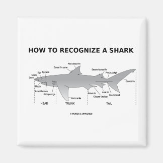 Imán Cómo Reconocer A Un Tiburón (Humor De Biología)