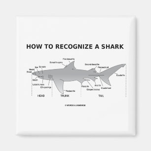 Imán Cómo reconocer un tiburón (humor de la biología
