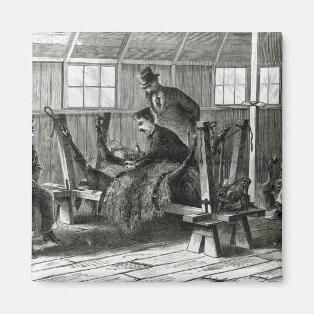 Imán Cómo tomar el virus de la pantorrilla (Frente)