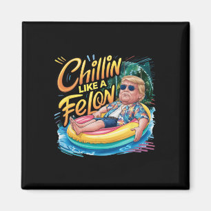 Imán Como unas vacaciones de verano de Felon