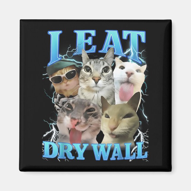 Imán Como Yeso Seco Meme Divertido de Gato  (Frente)