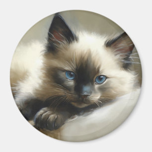 Imán Compañero acogedor Siamese Kitten