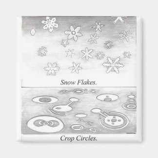 Imán Comparación entre copos de nieve y círculos de cul