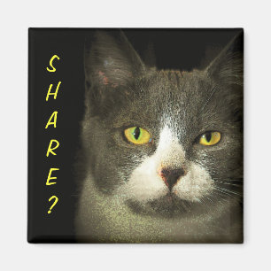 Imán COMPARTIR? ¿Tienes sobras? Hugery Kitty