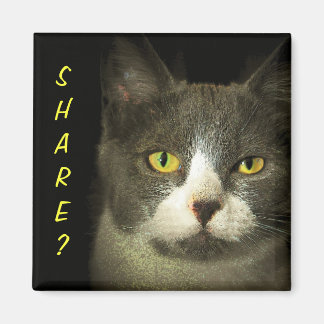Imán COMPARTIR? ¿Tienes sobras? Hugery Kitty