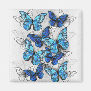 Imán Composición de las mariposas blancas y azules