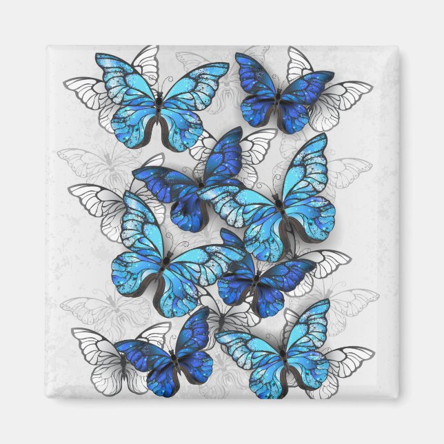 Imán Composición de las mariposas blancas y azules (Frente)
