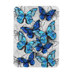 Imán Composición de las mariposas blancas y azules