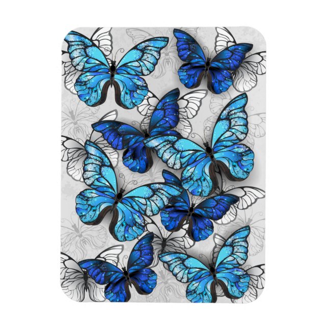 Imán Composición de las mariposas blancas y azules (Vertical)