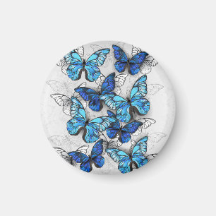 Imán Composición de mariposas blancas y azules