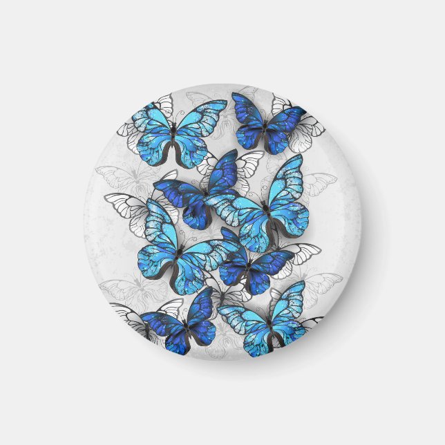 Imán Composición de mariposas blancas y azules (Frente)