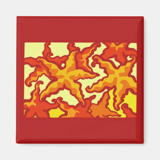 Imán Composición de Starfish