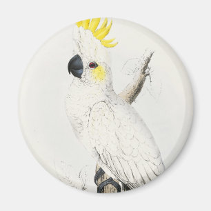 Imán con cresta amarillo del Cockatoo