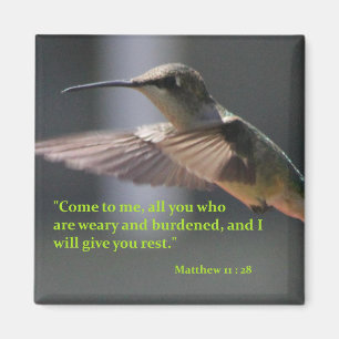 imán con el colibrí - déle el resto