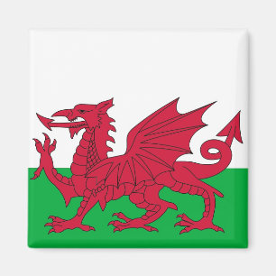 Imán con la bandera de País de Gales