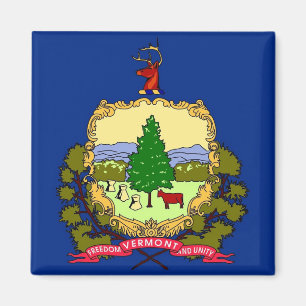 Imán con la bandera del estado de Vermont - los