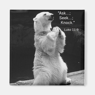 imán con oso polar rezando preguntar, buscar, llam