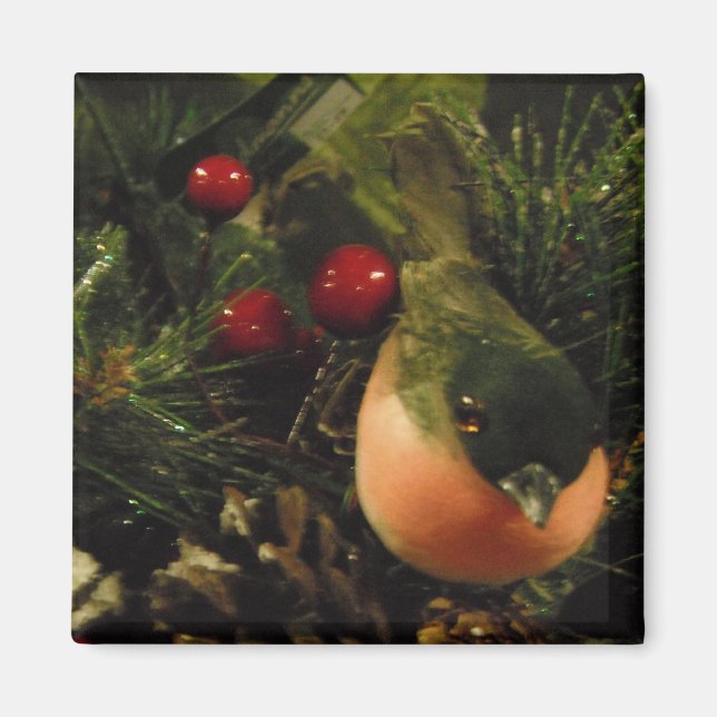 Imán con pájaro (Frente)