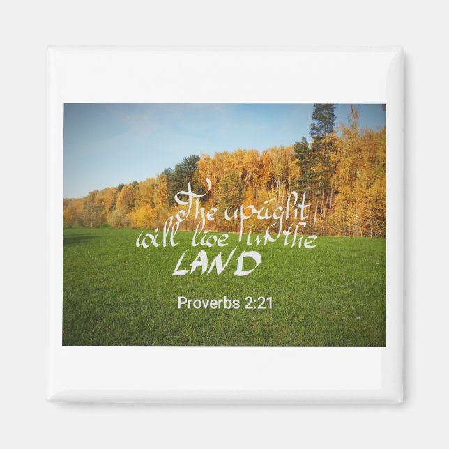 Imán con un verso biblio (Frente)