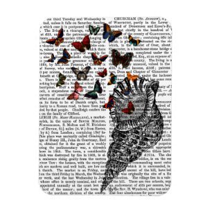 Imán Conch Shell y mariposas 2