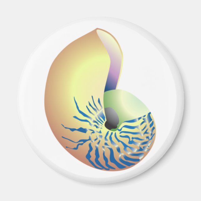 IMÁN CONCHA (Frente)