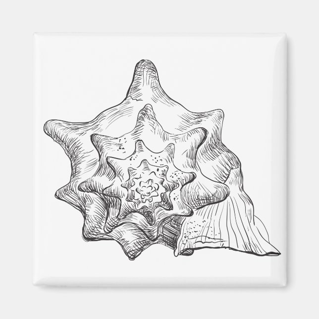 Imán Concha (Frente)