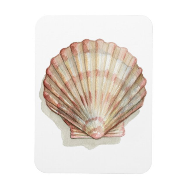 Imán Concha de mar rosa y crema (Vertical)