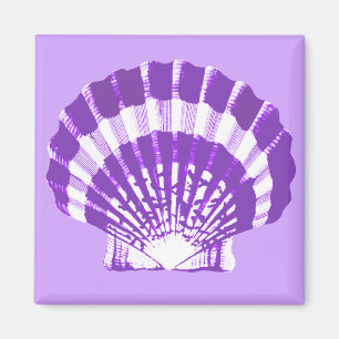 Imán Concha de mar: violeta y blanca