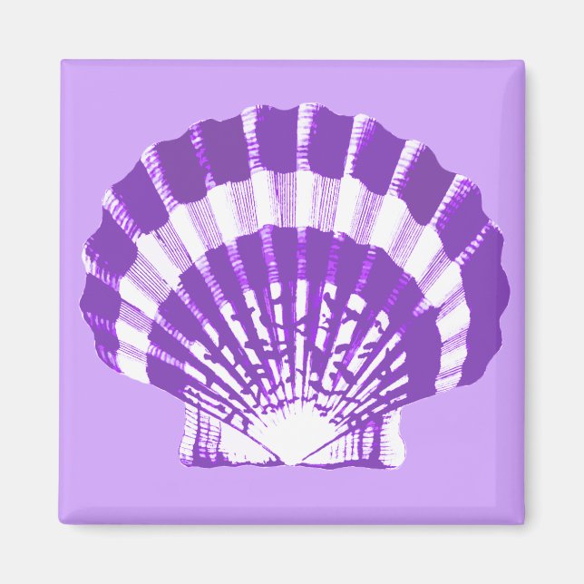 Imán Concha de mar: violeta y blanca (Frente)