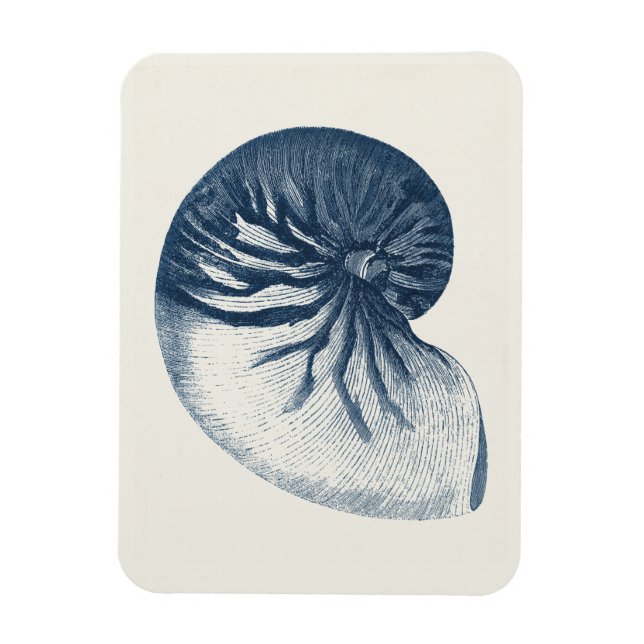 Imán Concha de ojos de índigo tiburón (Vertical)