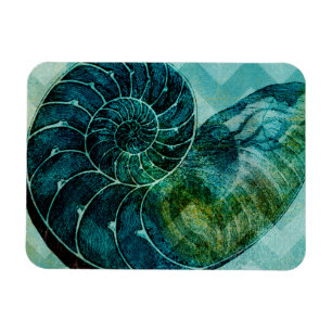 Imán Concha espiral turquesa
