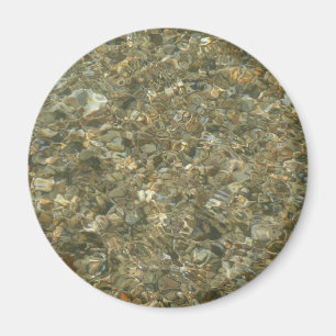 Imán Conchas bajo el agua rizada