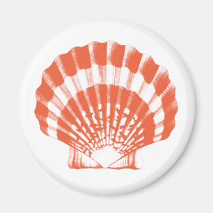 Imán Conchas marinas - naranja de coral y blanco